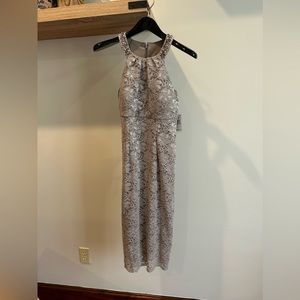 Alex Evenings Long Dress